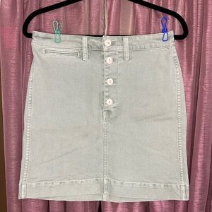 NWT Madewell Sage Green Denim Skirt